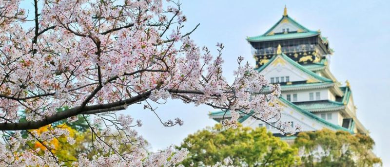 日本独立站做什么产品：2026年7个高潜力方向-贸贸通