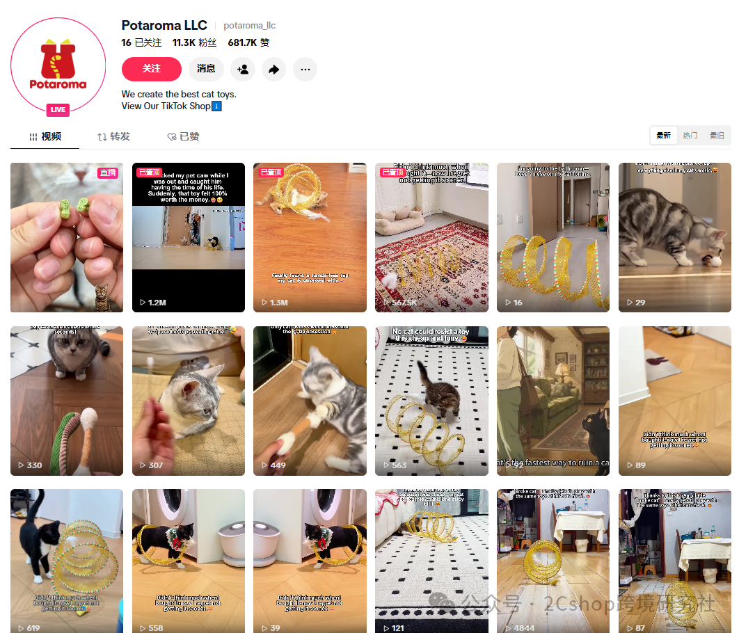 几块钱的宠物玩具，凭什么在独立站卖出35美金的高价？
